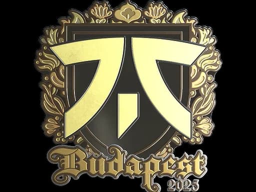 Sticker | fnatic (Gold) | Budapest 2025