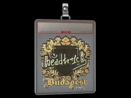 Sticker Slab | headtr1ck (Gold) | Budapest 2025