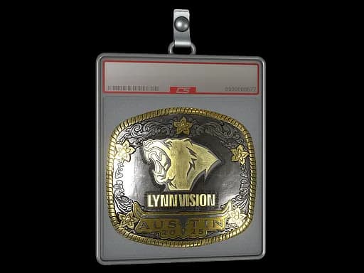 Sticker Slab | Lynn Vision (Gold) | Austin 2025