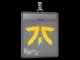 Sticker Slab | Fnatic | Paris 2023 CS2 skin