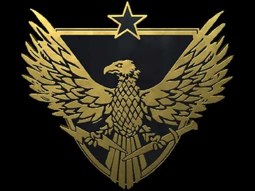 Brigadier General Pin