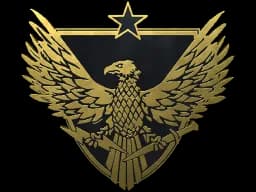 Brigadier General Pin