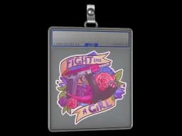 Sticker Slab | Fight like a Girl