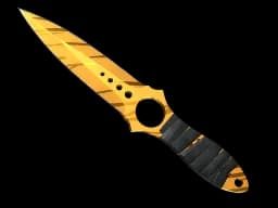 ★ Skeleton Knife | Tiger Tooth CS2 skin