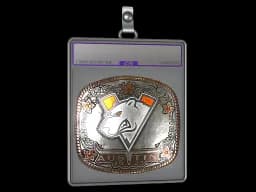 Sticker Slab | Virtus.Pro (Foil) | Austin 2025