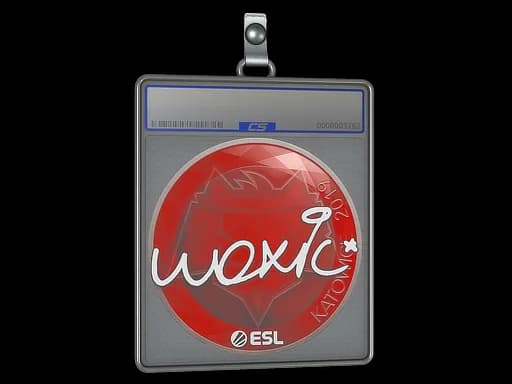 Sticker Slab | woxic | Katowice 2019