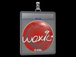 Sticker Slab | woxic | Katowice 2019