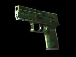 P250 | Verdigris (Battle-Scarred)