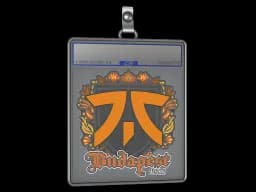 Sticker Slab | fnatic | Budapest 2025