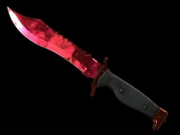 ★ Bowie Knife | Doppler (Minimal Wear)