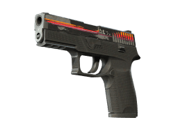 P250 | Cassette (Battle-Scarred)