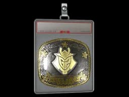 Sticker Slab | G2 Esports (Gold) | Austin 2025