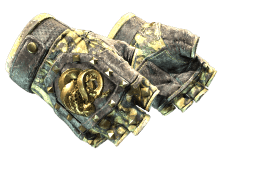 ★ Broken Fang Gloves | Yellow-banded (Battle-Scarred)