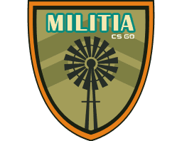 The Militia Collection - CS2 Collection Prices