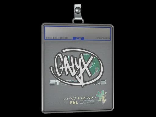 Sticker Slab | Calyx | Antwerp 2022