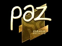 paz - CS2 Skin Prices