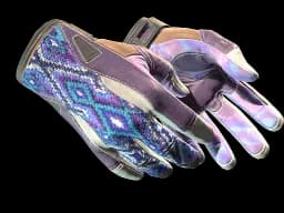 ★ Sport Gloves | Violet Beadwork (Well-Worn)