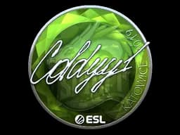 Sticker | COLDYY1 (Foil) | Katowice 2019