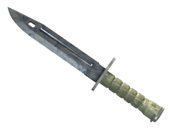 ★ Bayonet | Stained (Minimal Wear)