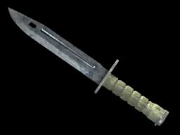 ★ Bayonet | Stained (Minimal Wear)