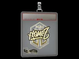 Sticker Slab | FlameZ (Gold) | Paris 2023