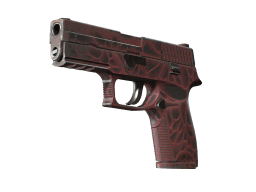 StatTrak™ P250 | Contaminant (Field-Tested)