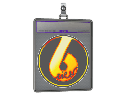 Sticker Slab | Flame Tier6 (Holo)