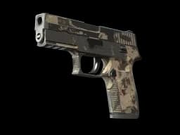 Souvenir P250 | Black & Tan (Battle-Scarred)