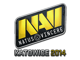 Natus Vincere | Katowice 2014