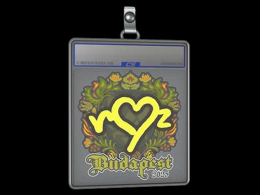 Sticker Slab | ropz | Budapest 2025