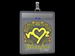 Sticker Slab | ropz | Budapest 2025