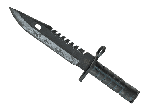 ★ M9 Bayonet | Night (Battle-Scarred)