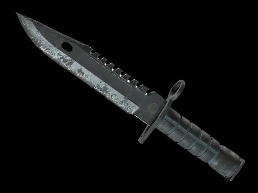 ★ M9 Bayonet | Night (Battle-Scarred)