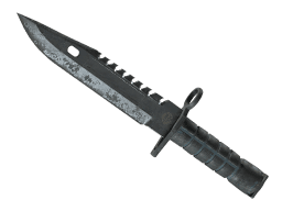 ★ M9 Bayonet | Night (Battle-Scarred)