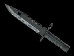 ★ M9 Bayonet | Night (Battle-Scarred)