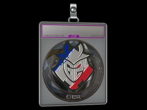 Sticker Slab | G2 Esports (Foil) | Katowice 2019