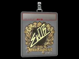 Sticker Slab | sk0R (Gold) | Budapest 2025