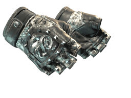 ★ Broken Fang Gloves | Unhinged (Minimal Wear)