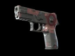P250 | Constructivist CS2 skin