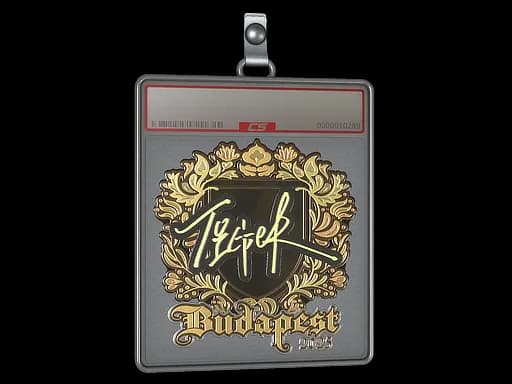 Sticker Slab | Tiger (Gold) | Budapest 2025