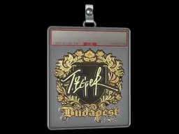 Sticker Slab | Tiger (Gold) | Budapest 2025