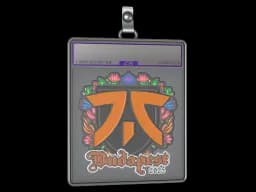Sticker Slab | fnatic (Embroidered) | Budapest 2025