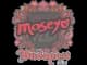 Sticker | Moseyuh | Budapest 2025 CS2 skin