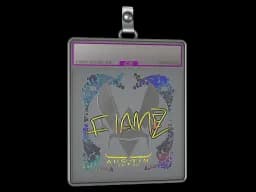 Sticker Slab | FlameZ (Holo) | Austin 2025