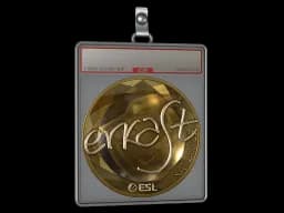 Sticker Slab | erkaSt (Gold) | Katowice 2019