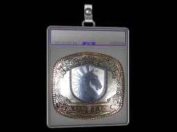 Sticker Slab | Team Liquid (Foil) | Austin 2025