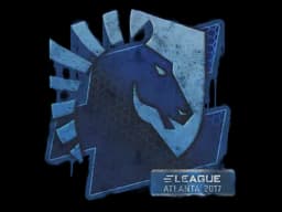 Sealed Graffiti | Team Liquid | Atlanta 2017
