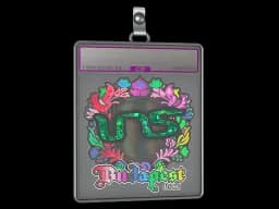 Sticker Slab | INS (Holo) | Budapest 2025