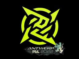 Ninjas in Pyjamas | Antwerp 2022 - CS2 Skin Prices