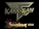Sticker | karrigan (Gold) | Shanghai 2024 CS2 skin